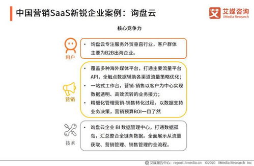 2020年中国营销SaaS行业发展专题研究报告 销售数据系统的研发路径与实证分析